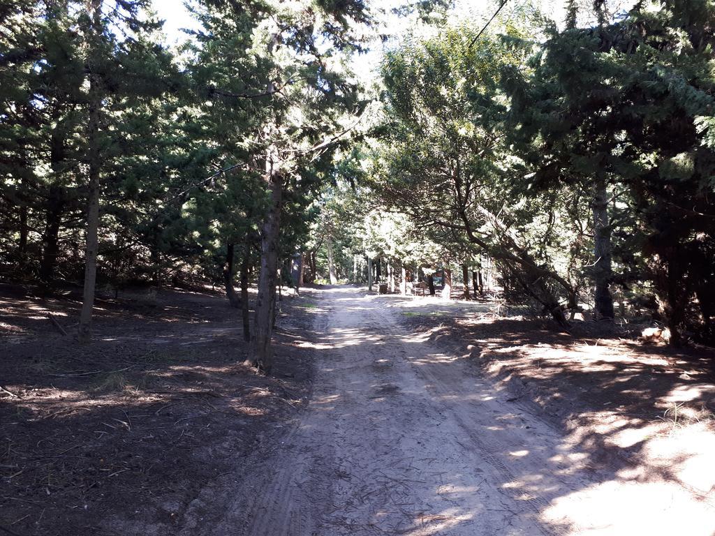 La Gringa, Un Espacio Unico En El Medio Del Bosque Villa Mar de Las Pampas Luaran gambar